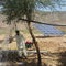 система водяной помпы 4кв солнечная Пв/солнечный приведенный в действие набор водяной помпы для обрабатывать землю поставщик